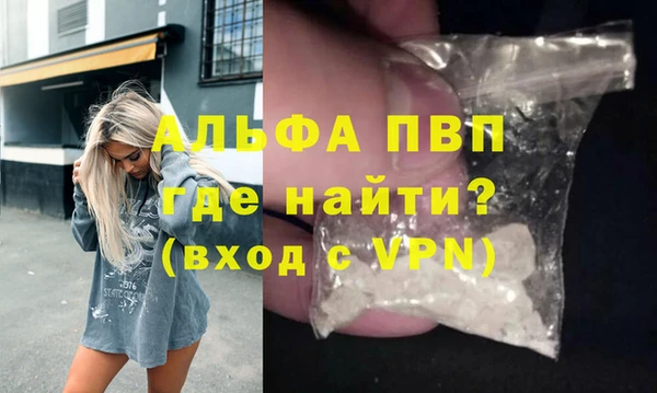 СК Белокуриха