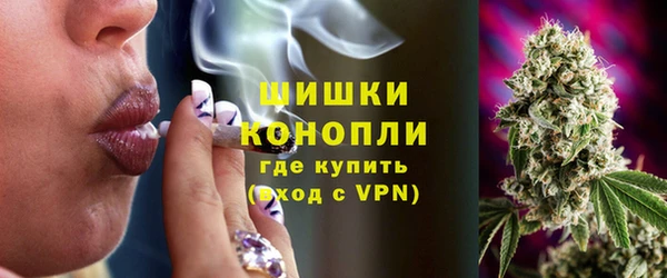 трава Балахна
